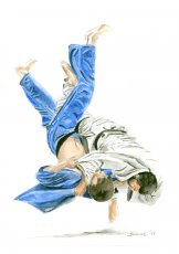 Judo Aquarellen