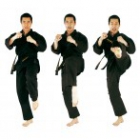 0122 - Karate zwart