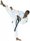 0139 - Karate Overslag rib